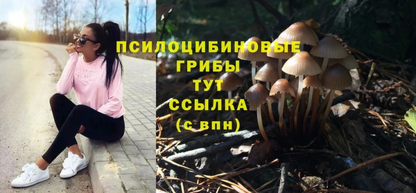ECSTASY Алексеевка