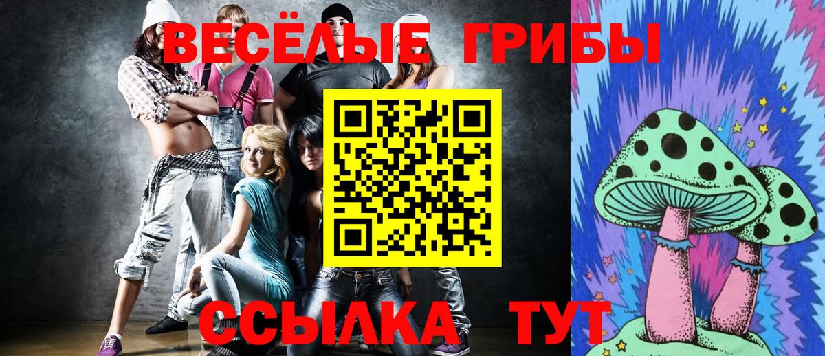 Галлюциногенные грибы ЛСД Чапаевск