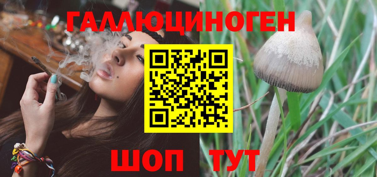Псилоцибиновые грибы прущие грибы  Вход с VPN  наркотики  Чапаевск  Галлюциногенные грибы мухоморы 