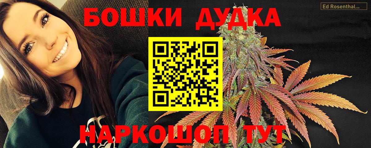Бошки марихуана планчик  Марихуана семена  Марихуана план  Вход с VPN  Чапаевск 